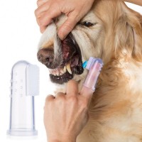 Wholesale Resilient And Soft Pvc Bristles Pet Dental Care Dog Finger Toothbrush With Storage Cases